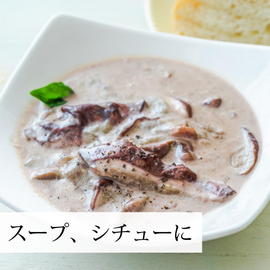 乾燥 ポルチーニ 200g×5個 ポルチーニ 茸 無添加 農薬不使用 ポルチーニ 農薬不使用