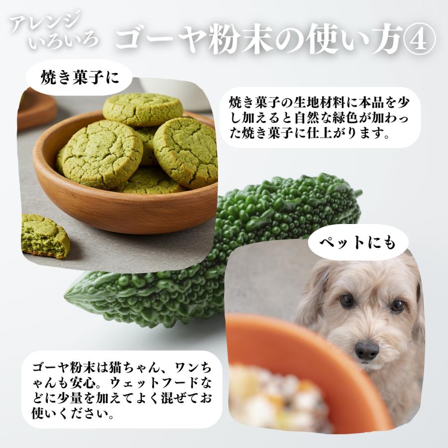 ゴーヤ粉末 380g×3個 ゴーヤ パウダー ゴーヤ茶 青汁 サプリ 爆買_12