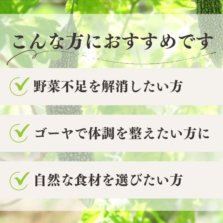 ゴーヤ粉末 380g×3個 ゴーヤ パウダー ゴーヤ茶 青汁 サプリ 爆買_3