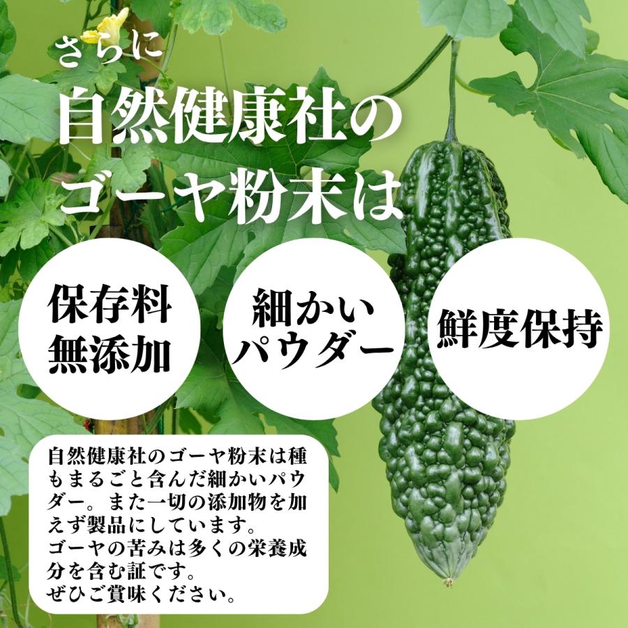 ゴーヤ粉末 380g×3個 ゴーヤ パウダー ゴーヤ茶 青汁 サプリ 爆買_6