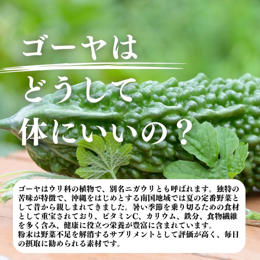 ゴーヤ粉末 380g×3個 ゴーヤ パウダー ゴーヤ茶 青汁 サプリ 爆買_7