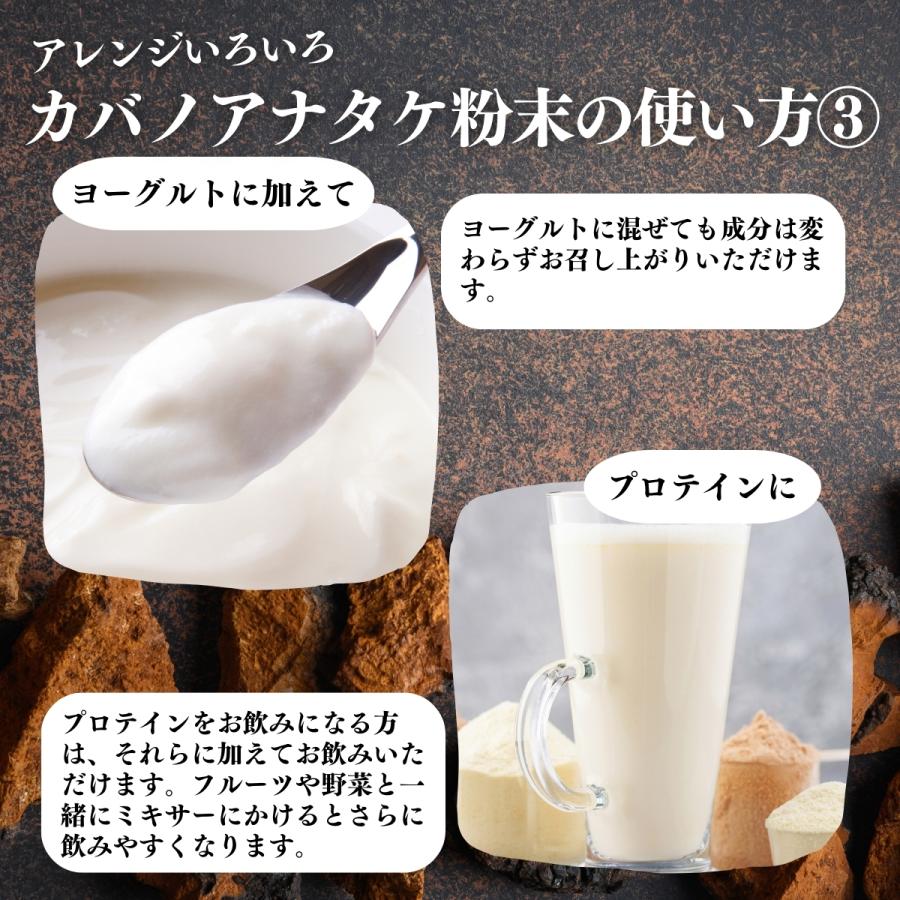 自然健康社 カバノアナタケ粉末 500g×3個 カバノアナタケ茶 チャーガ茶