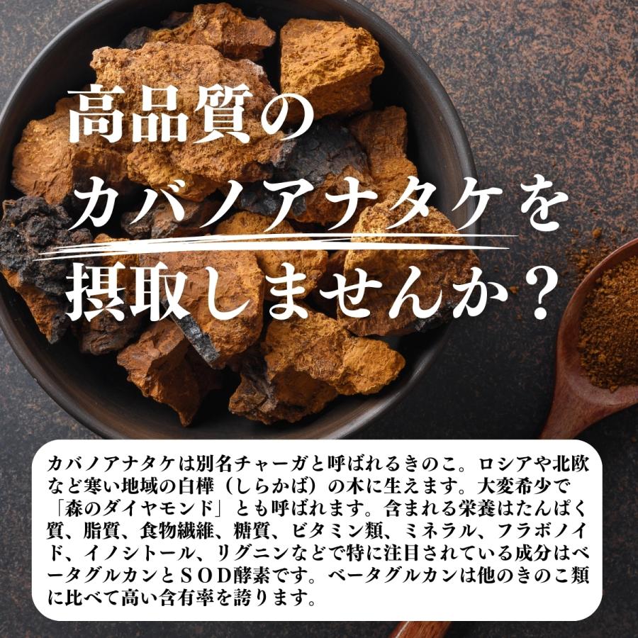自然健康社 カバノアナタケ茶 32パック×3個 チャーガ茶 チャガ ティー 