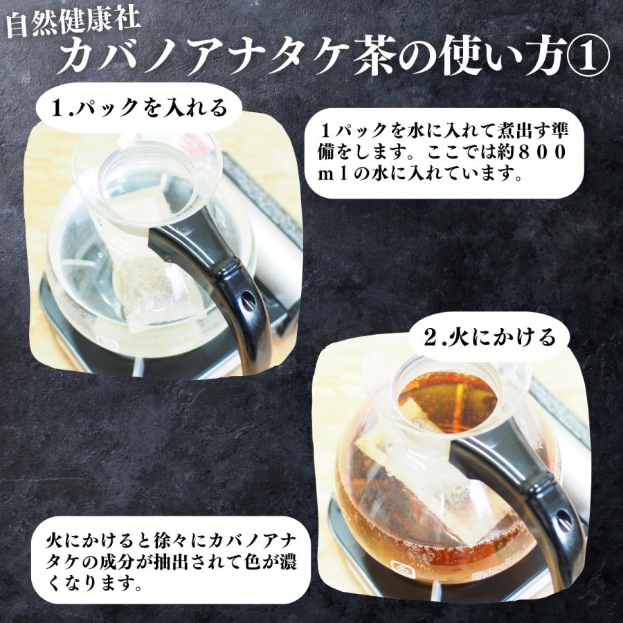 自然健康社 カバノアナタケ茶 32パック×3個 チャーガ茶 チャガ ティー 