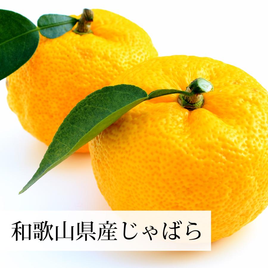 1652円 最大 Offクーポン じゃばらパウダー 100g 3個 じゃばら サプリ 粉末 花粉 対策 送料無料