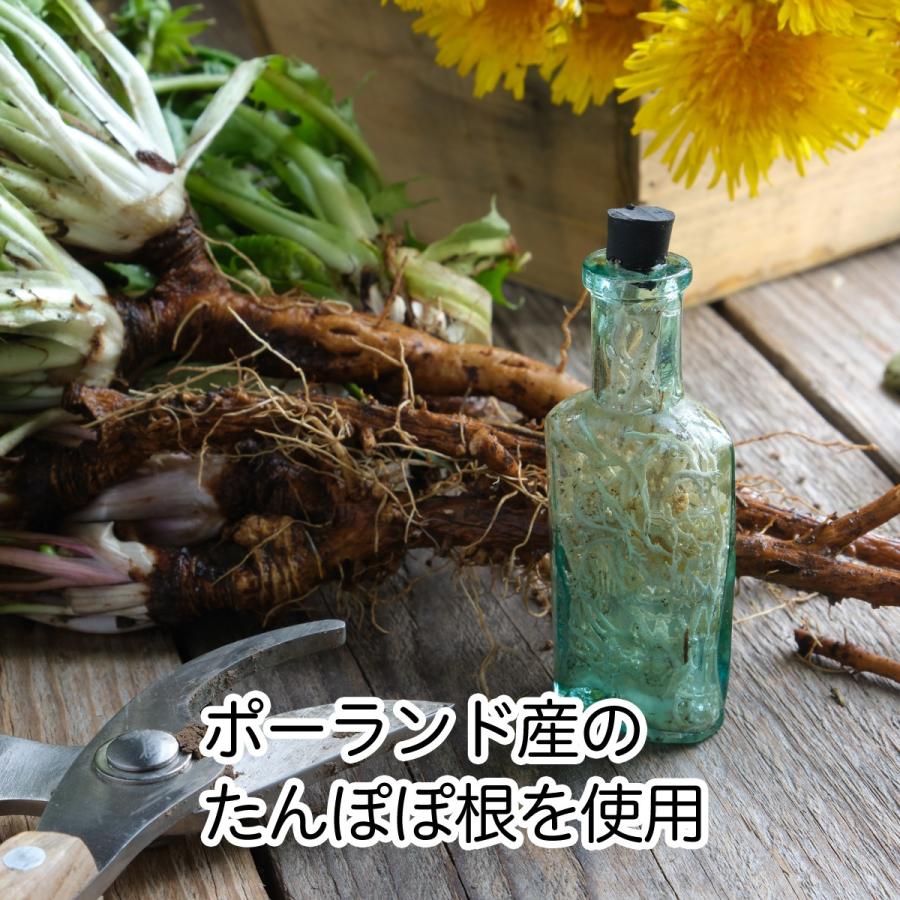 国内配送 タンポポコーヒー100パック 3個 ノンカフェイン カフェインレス たんぽぽ茶 送料無料 偉大な Aleefsurgical Com