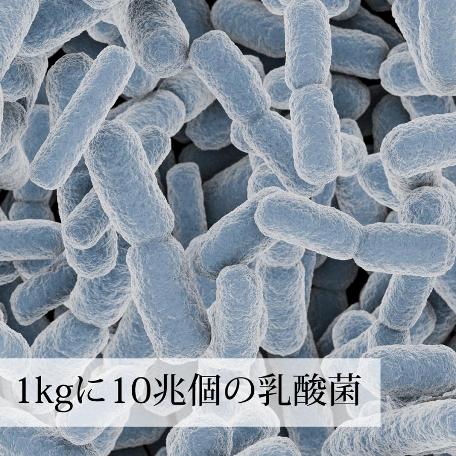 粉末乳酸菌 10兆個 1kg×3個 乳酸菌 サプリ サプリメント フェカリス菌 送料無料｜hl-labo｜04
