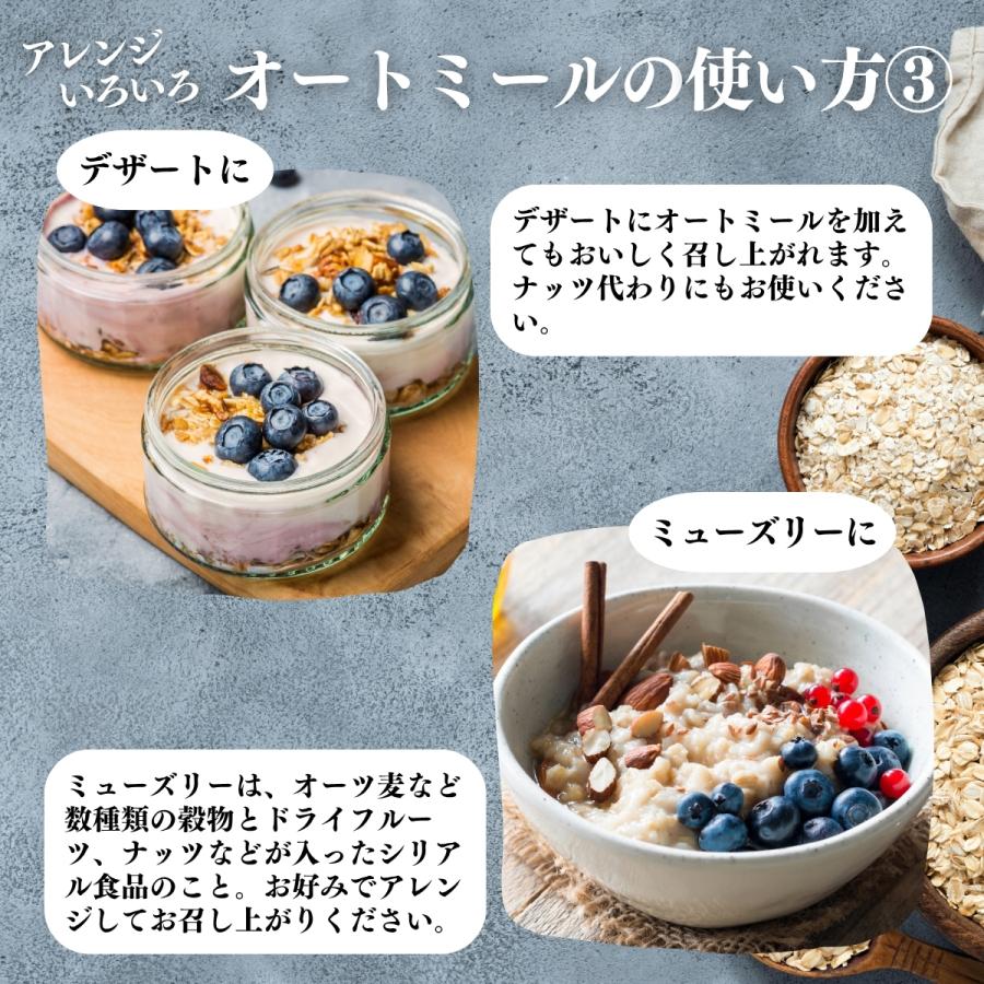 オートミール 1kg×3個 クイックオーツ 無添加 インスタント グラノーラ シリアル オーツ麦 | 自然健康社 | 10