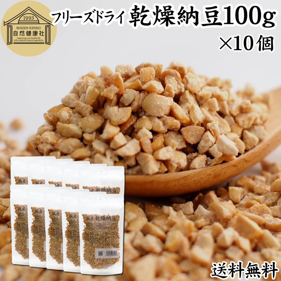 週末限定タイムセール 乾燥納豆 100g 10個 ドライ納豆 ひきわり納豆 無添加 犬 国産 送料無料 Aynaelda Com