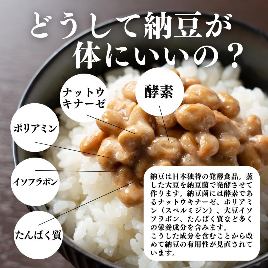 乾燥納豆 100g×10個 ドライ納豆 ひきわり納豆 無添加 犬 国産の画像