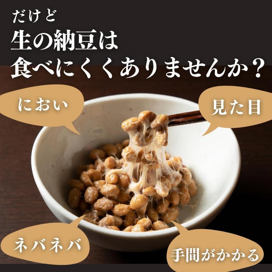 乾燥納豆 100g×10個 ドライ納豆 ひきわり納豆 無添加 犬 国産の画像