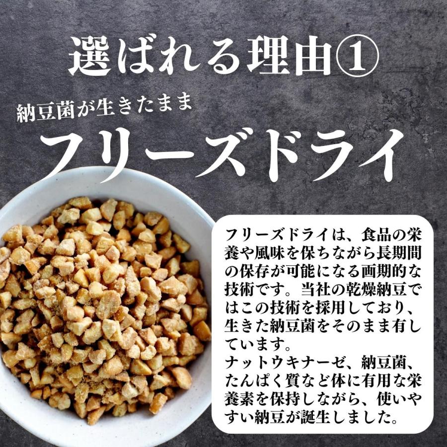 乾燥納豆 100g×10個 ドライ納豆 ひきわり納豆 無添加 犬 国産の画像