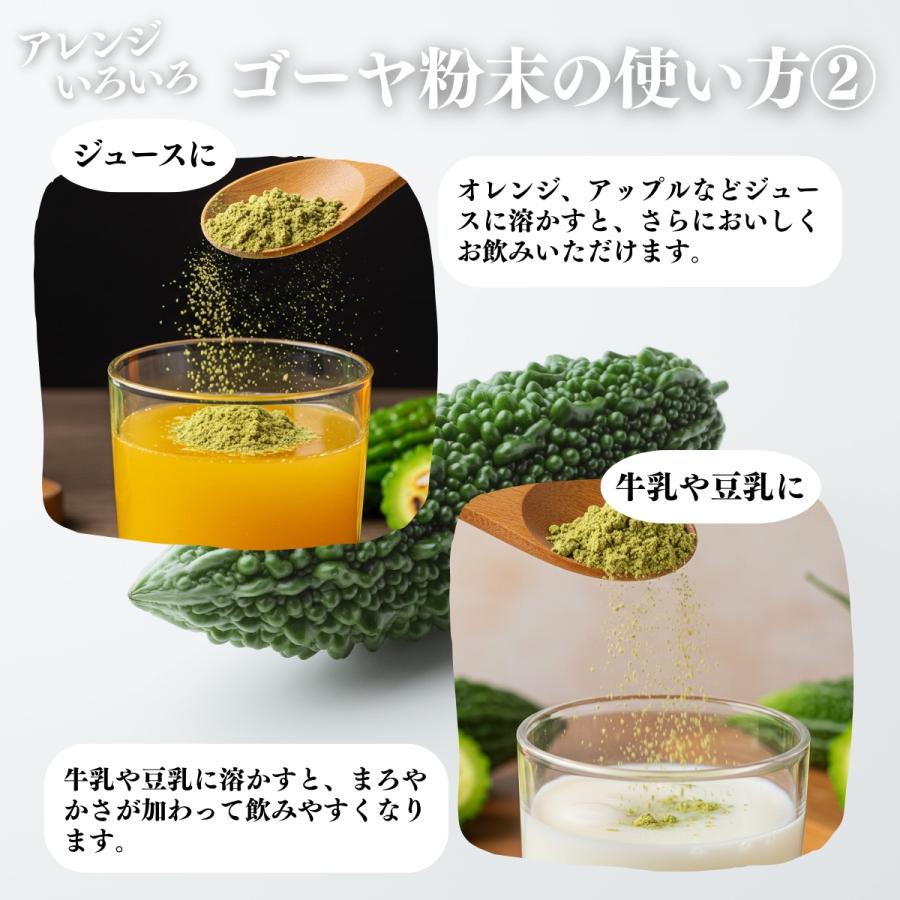 ゴーヤ粉末 380g×3個 ゴーヤ パウダー ゴーヤ茶 青汁 サプリメント 爆買_10