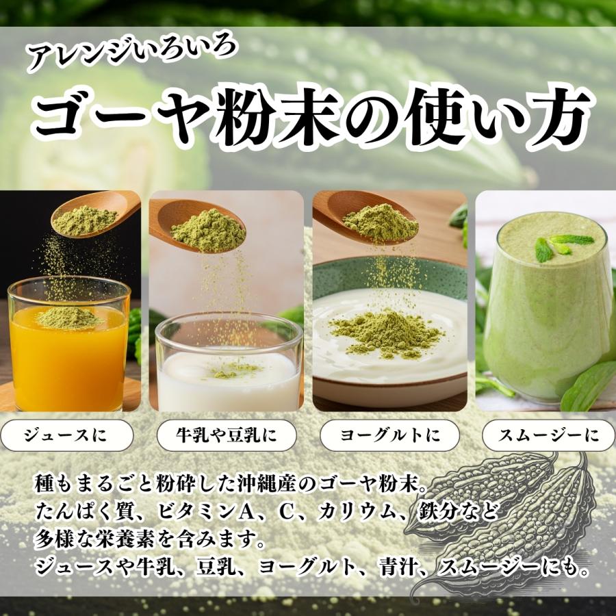 ゴーヤ粉末 380g×3個 ゴーヤ パウダー ゴーヤ茶 青汁 サプリメント 爆買_4