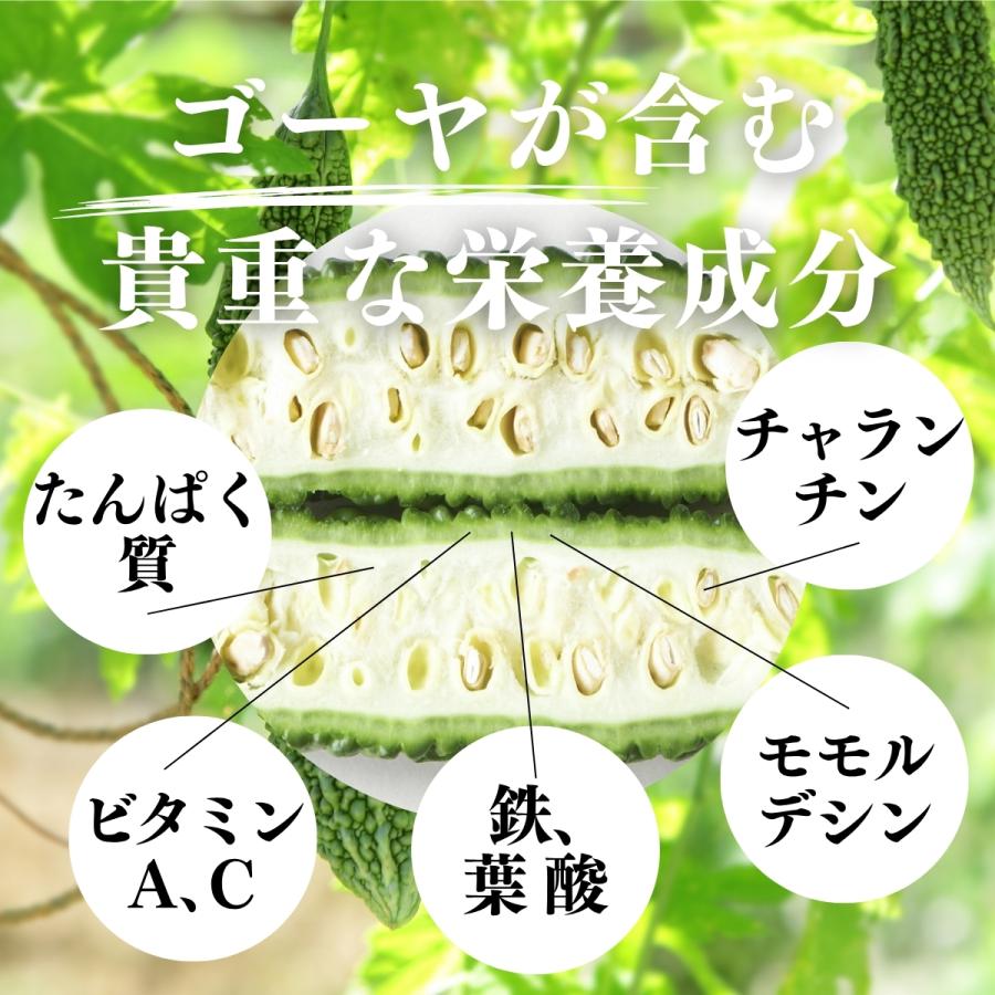 ゴーヤ粉末 380g×3個 ゴーヤ パウダー ゴーヤ茶 青汁 サプリメント 爆買_5