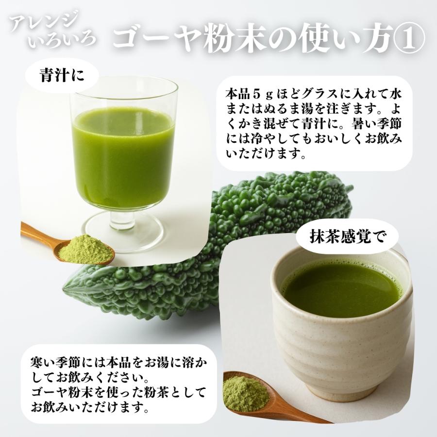ゴーヤ粉末 380g×3個 ゴーヤ パウダー ゴーヤ茶 青汁 サプリメント 爆買_9