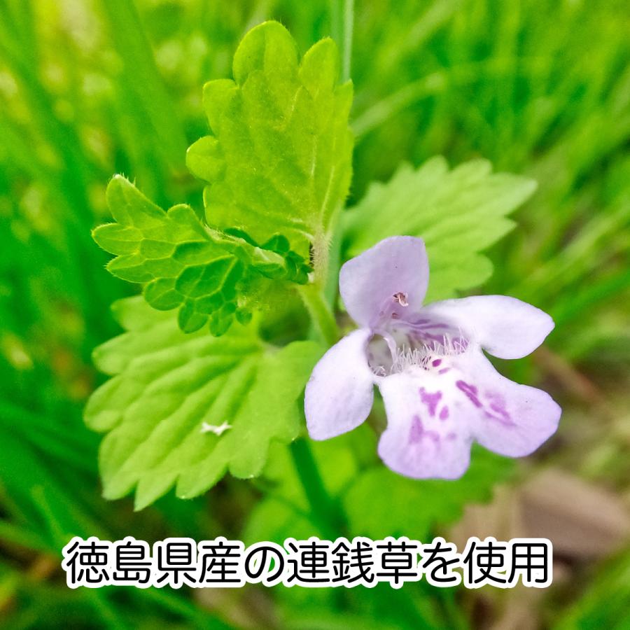 国産・連銭草茶30パック×3個 カキドオシ茶 カキドウシ茶 徳島県産 