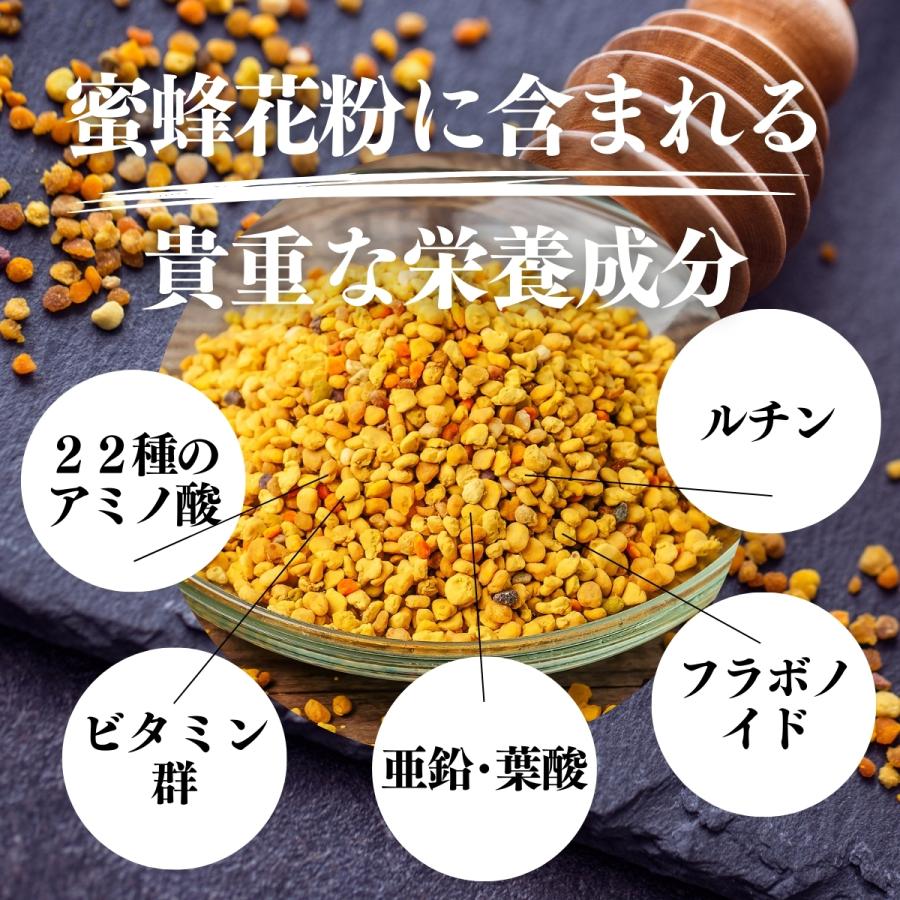 自然健康社 蜜蜂花粉 100g×3個 ビーポーレン スペイン産 無添加 100