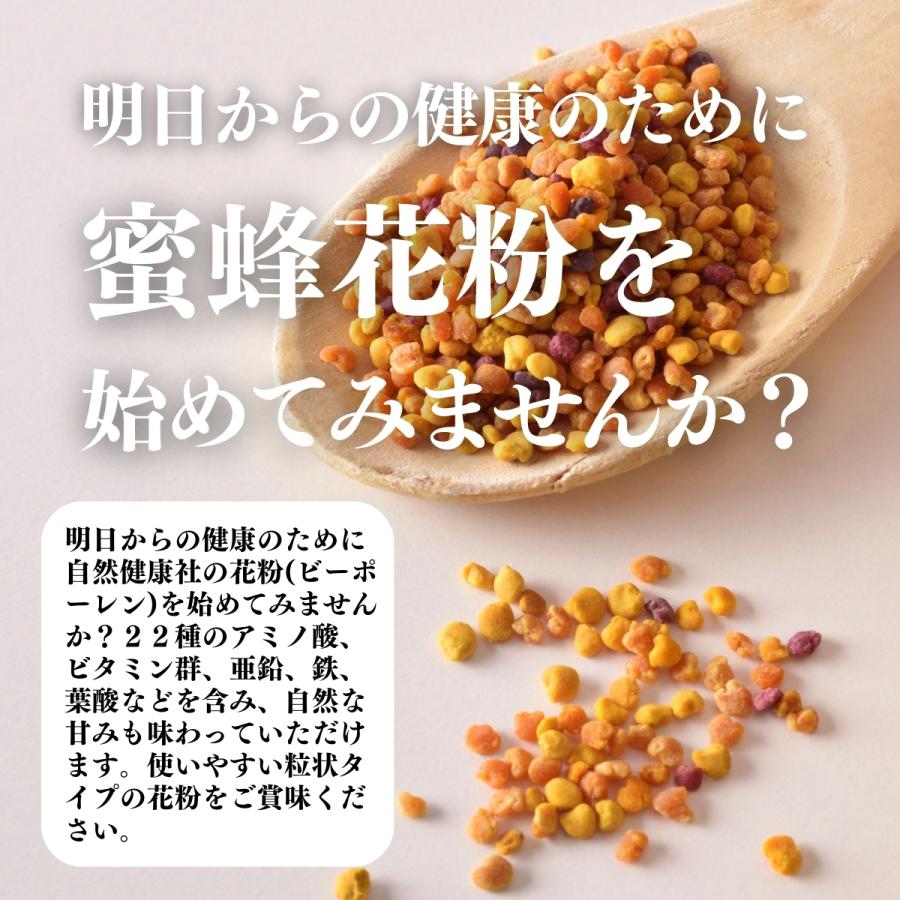 自然健康社 蜜蜂花粉 100g×3個 ビーポーレン スペイン産 無添加 100