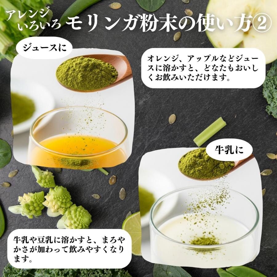 モリンガパウダーステック業務用健康サプリ天然由来 モリンガパウダーステック業務用健康サプリ天然由来 【公式通販】
