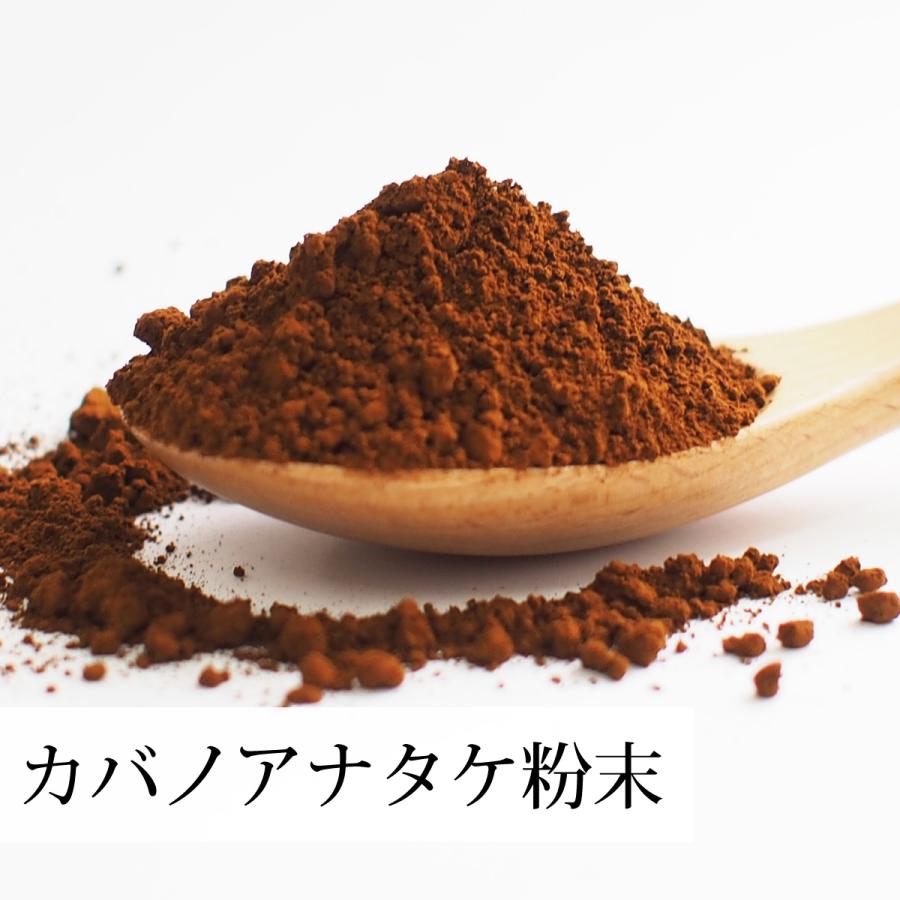 カバノアナタケ粉末 500g×3個 カバノアナタケ茶 チャーガ茶 チャガ茶｜hl-labo｜05