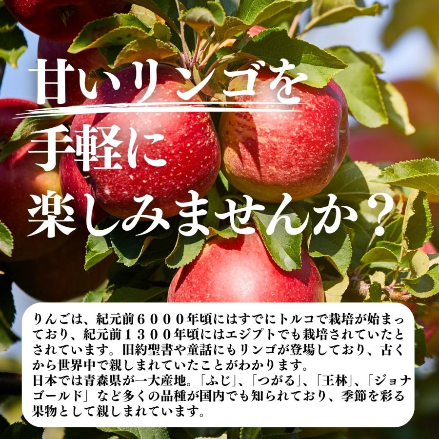 アップル パウダー 400g×3個 りんご 粉末 ふんまつ 業務用 美容_2