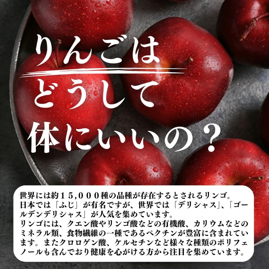 アップル パウダー 400g×3個 りんご 粉末 ふんまつ 業務用 美容_3