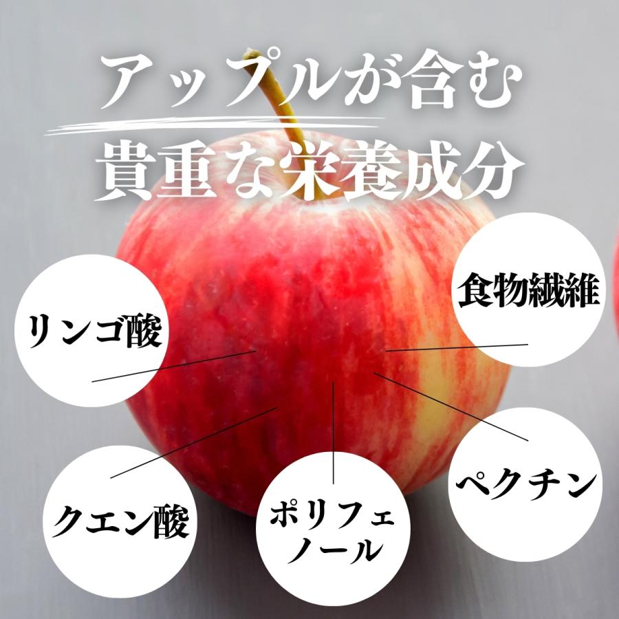 アップル パウダー 400g×3個 りんご 粉末 ふんまつ 業務用 美容_5