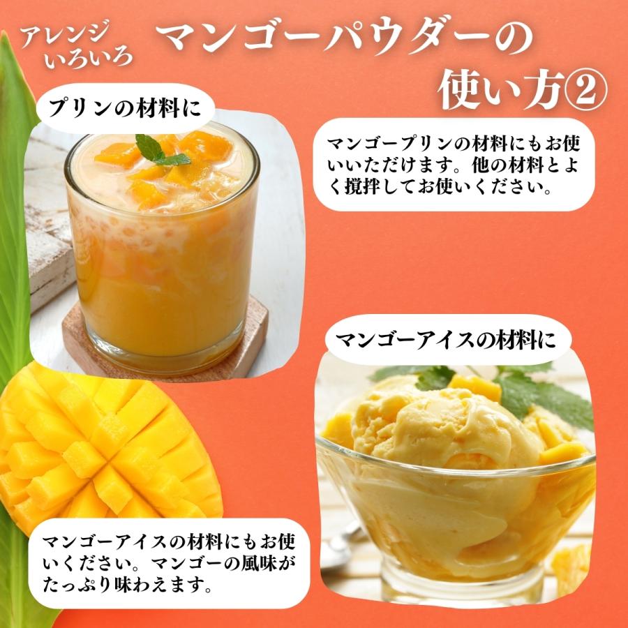 マンゴーパウダー 500g×3個 フルーツ パウダー マンゴー 粉末 爆買_13