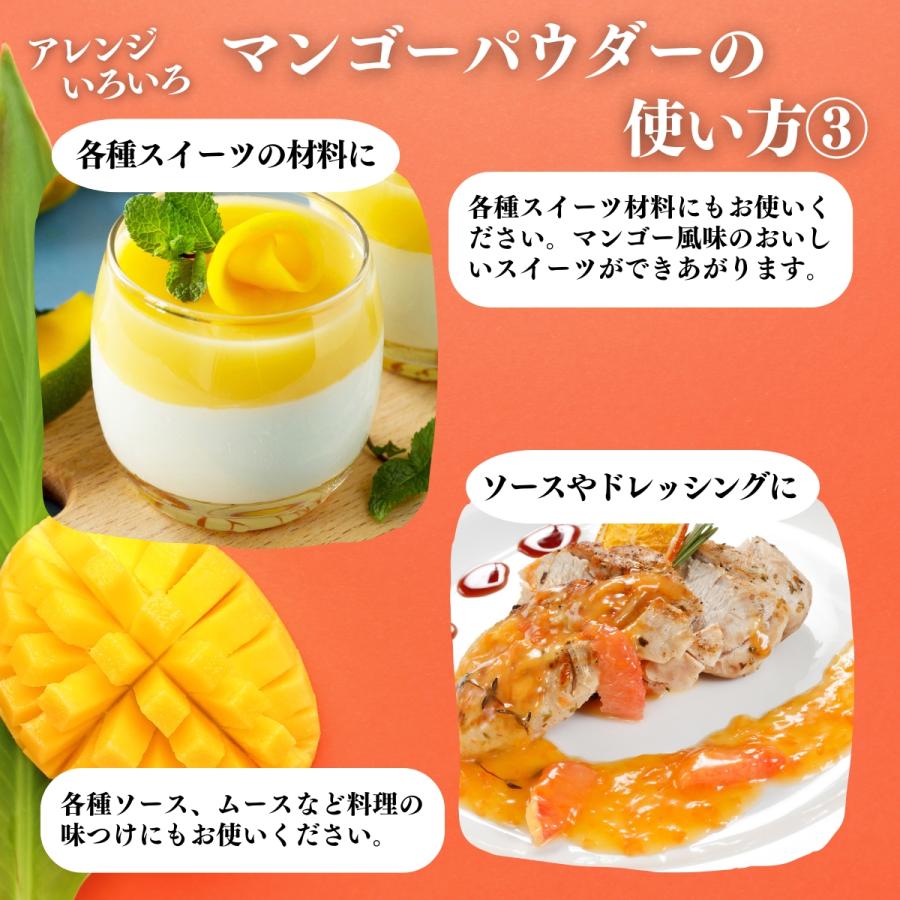 マンゴーパウダー 500g×3個 フルーツ パウダー マンゴー 粉末 爆買_14