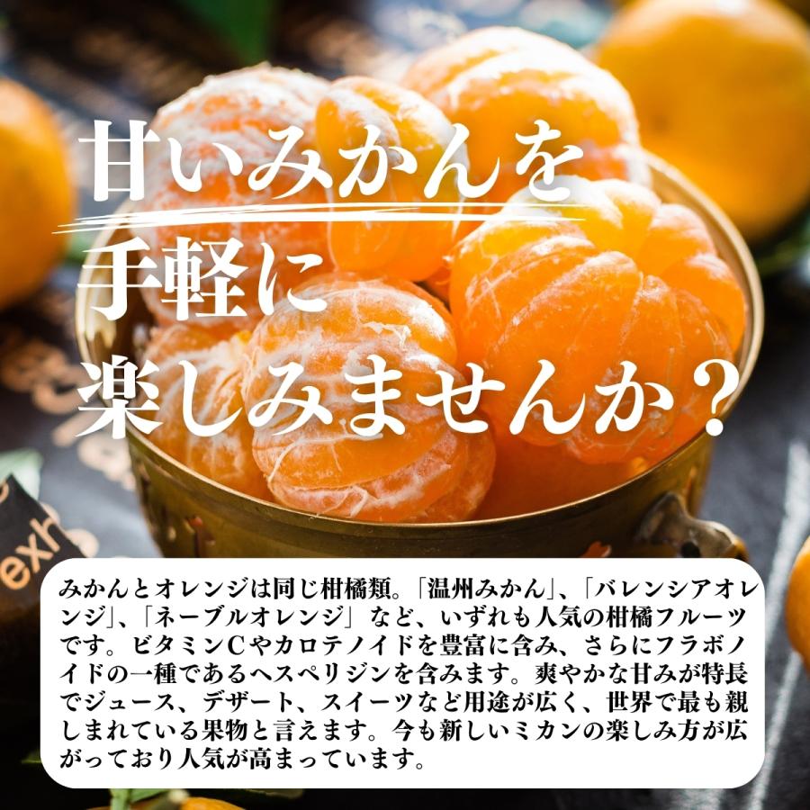 みかん粉末 1kg×3個 オレンジパウダー 柑橘 スムージー 材料 爆買_2