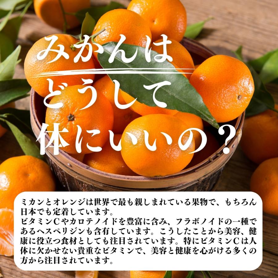 みかん粉末 1kg×3個 オレンジパウダー 柑橘 スムージー 材料 爆買_3