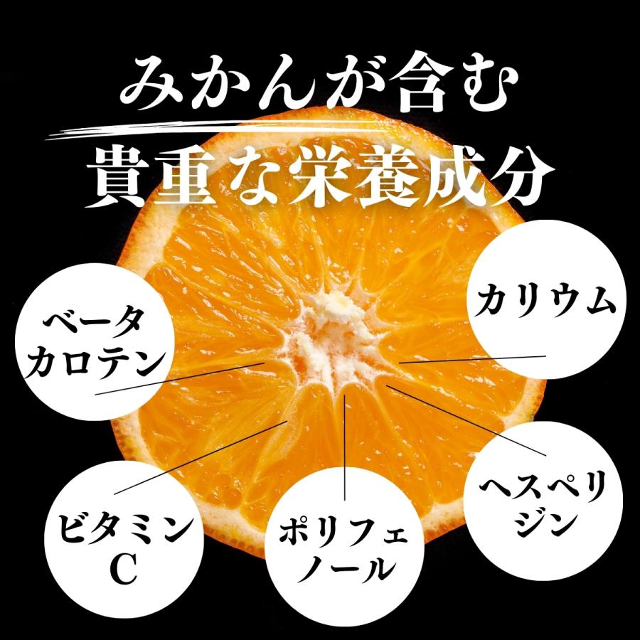 みかん粉末 1kg×3個 オレンジパウダー 柑橘 スムージー 材料 爆買_5