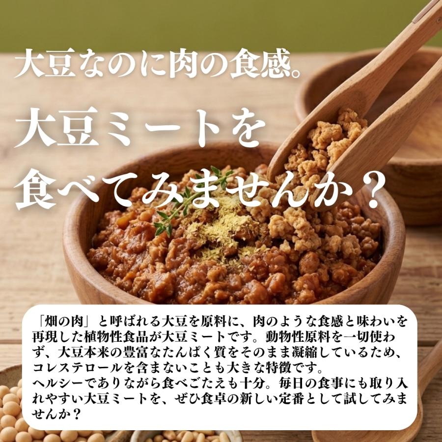 大豆ミート 1kg×10個 ミンチ 国産 業務用 北海道産 大豆 100% 無添加 そぼろタイプ_10
