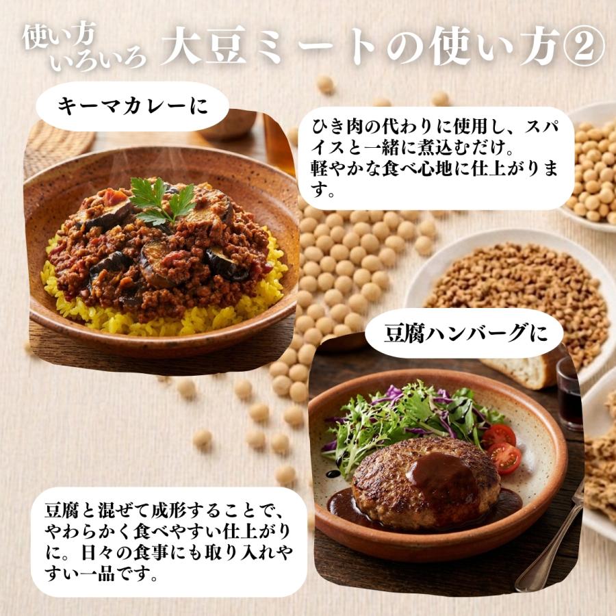 大豆ミート 1kg×10個 ミンチ 国産 業務用 北海道産 大豆 100% 無添加 そぼろタイプ_12