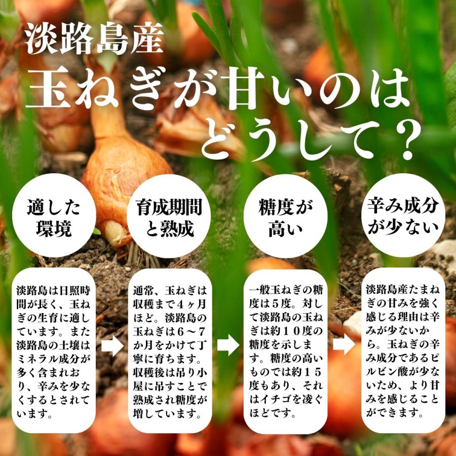 玉ねぎ粉末 1kg×10個 淡路島産 タマネギ 粉末 スープ たまねぎ オニオン パウダーの画像