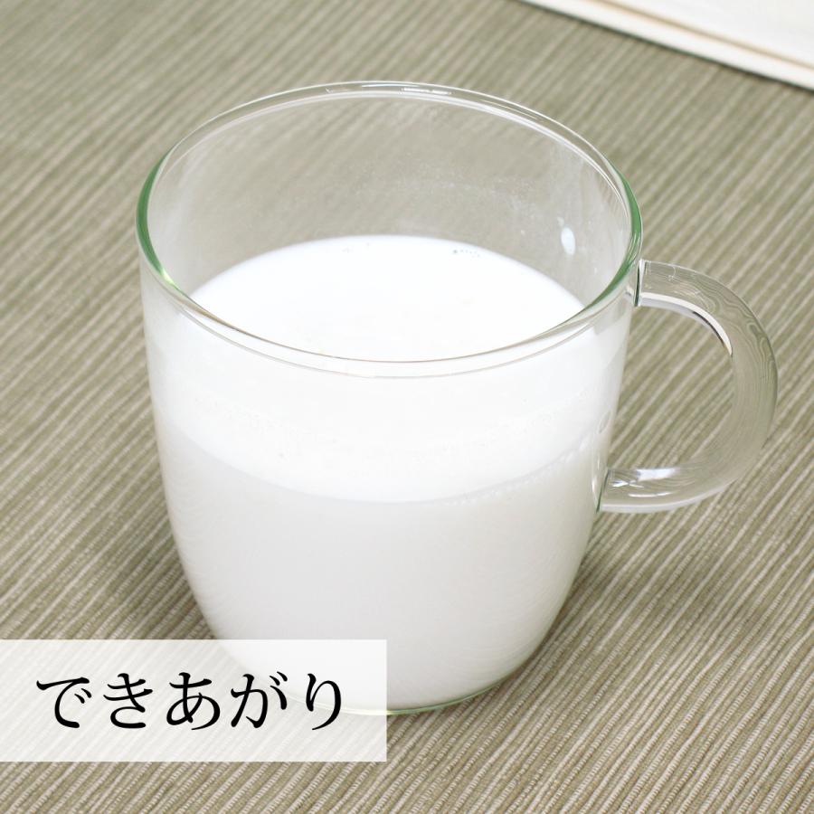 ココナッツミルクパウダー100g×10個 ココナッツオイル 砂糖不使用｜hl-labo｜09