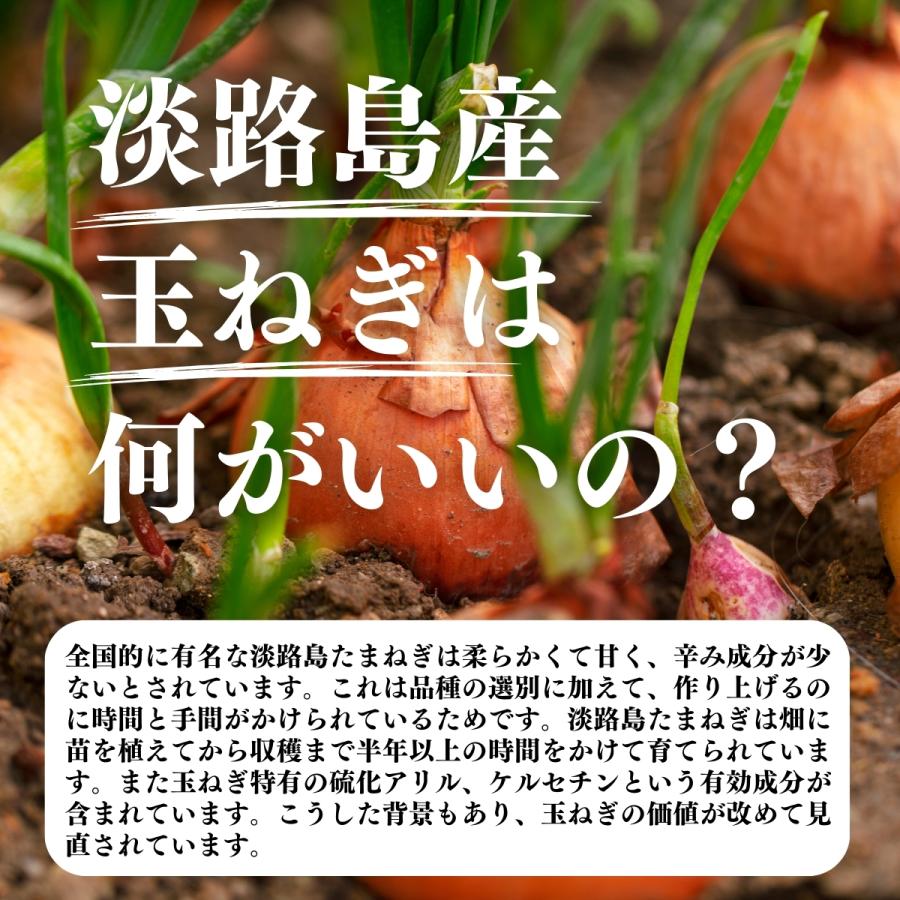 玉ねぎ粉末 400g×10個 淡路島産 タマネギ 粉末 スープ たまねぎ オニオン パウダーの画像