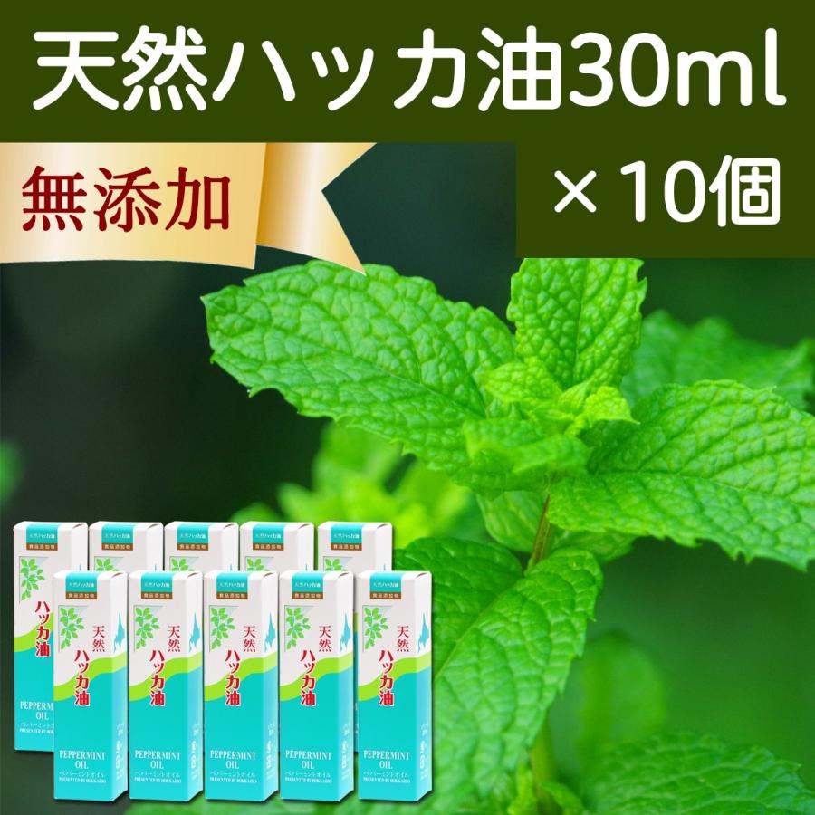 天然ハッカ油30ml×10個 スプレー式 ペパーミント商会 薄荷 オイル 無添加 の商品画像