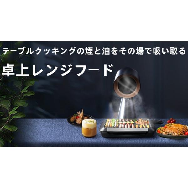 64％以上節約 卓上レンジフード テーブルクッキングの煙と油を吸い取る