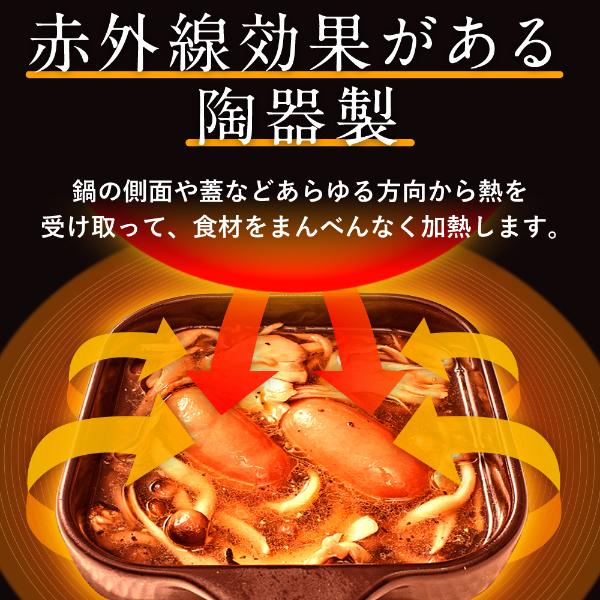 リュウジの万能スキレット レシピブック付 レンジでも使える 一人暮らし 料理研究家 陶器製 保存容器 焼く 煮る レンジ 保温｜hl1｜07