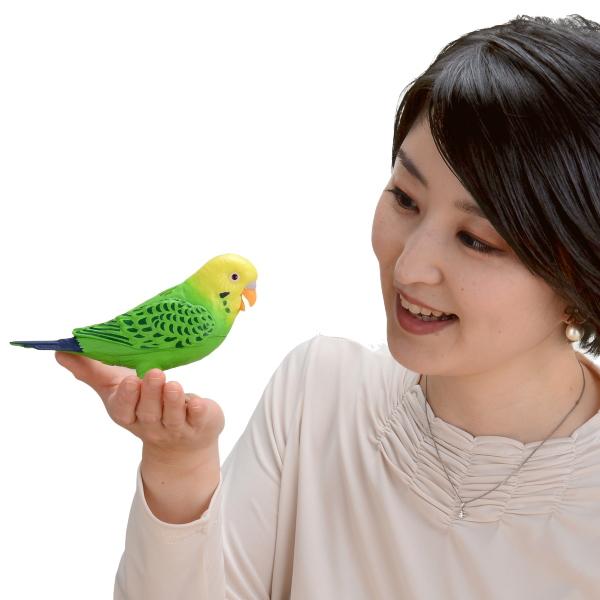 天才インコちゃん バーチャルペット おもちゃ 脳トレ 高齢者 しゃべる 一人暮らし 癒し 母の日 父の日 敬老の日 誕生日 プレゼント 贈り物|hl1|02