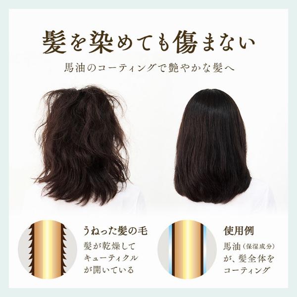 プロシア 馬油ヘアカラートリートメント 180g 白髪染め ヘアケア 白髪染めトリートメント トリートメント 馬油 日本製 保湿 うねり 無添加｜hl1｜09