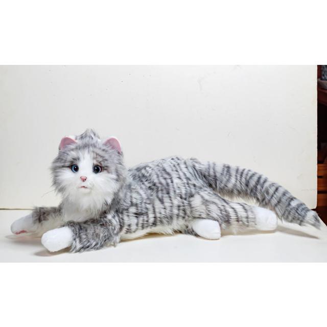 あほねこ あそぶぼー 250510 - YouTube
