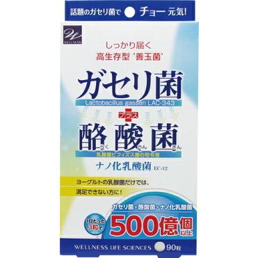 ガセリ菌＋酪酸菌 90粒×2個セット サプリメント プロバイオティクス 腸内フローラ 善玉菌 乳酸菌 ダイエット サプリ