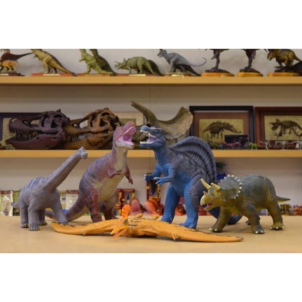 安心の定価販売 直送品 代引き不可 恐竜 ビニールモデル プレミアムエディション 5種類セット フィギュア 恐竜フィギュア プレゼント ギフト 贈り物 通販 Ptc 121t ヘルシーラボ 通販 Yahoo ショッピング 楽天ランキング1位 Www Ladislexia Net