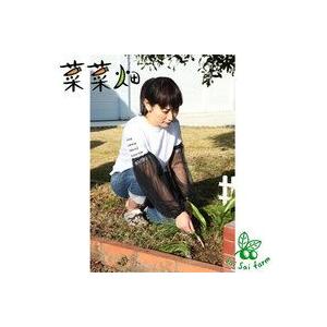 虫よけ腕カバー ブラック ガーデニングウェア ガーデニングアームカバー ガーデンウェア 虫よけ 虫除け 屋外 虫除け用品 腕カバー 害虫 虫 ガード の商品画像