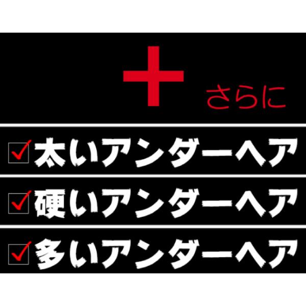 ケディオス KDIOS グルーミング ヒートカッターZ メンズシェーバー シェーバー 充電式 アンダーヘア Vゾーン アンダーヘアー ムダ毛処理
