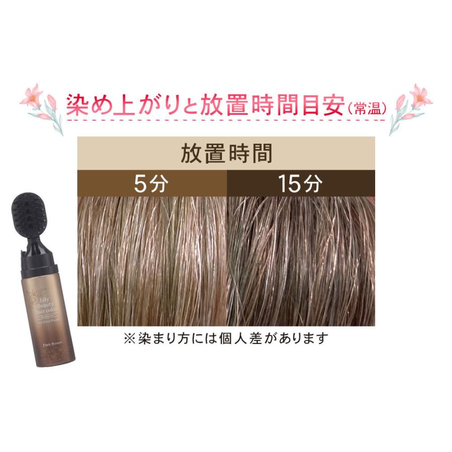 リリービューティーヘアカラー 80ml ダークブラウン カラーリング 全体染め用 白髪染め ヘアカラー 泡タイプ ヘアカラーフォーム 毛染め｜hl1｜03