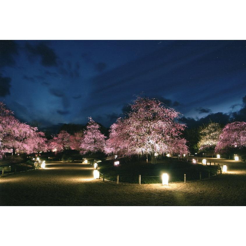 高知インター店 代引き不可 秋元隆良 奇跡の写真 天望 菩薩の現れ 開運 幸運 画像 写真 開運グッズ 開運フォト 開運写真 縁起物 お祝い事 誕生日 母の日 父の日 海外輸入 Goodness Toluosofowora Com